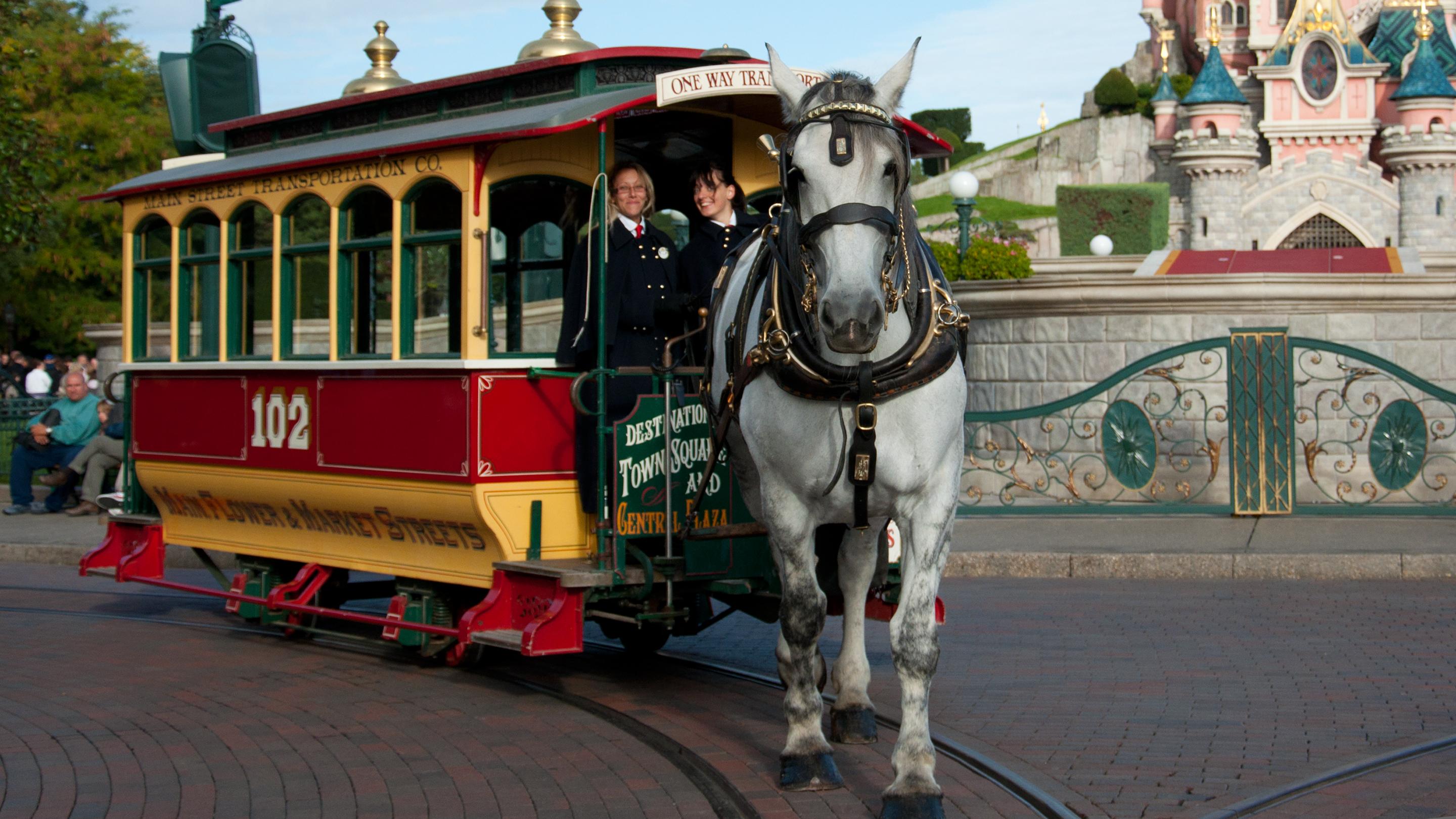 Disneyland Paris : les célèbres chevaux de Main Street prennent leur retraite